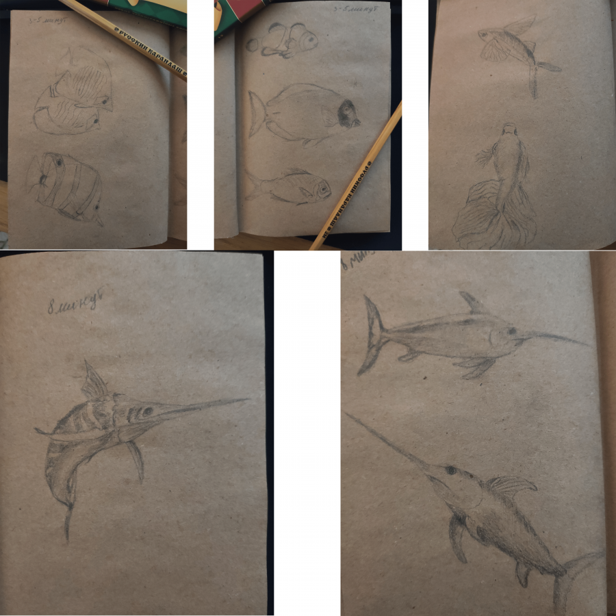 Рисунок рыбки